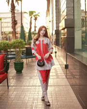 Husn-e-Khaas 💃✨🎨🌼 2 Pcs Kurti Set