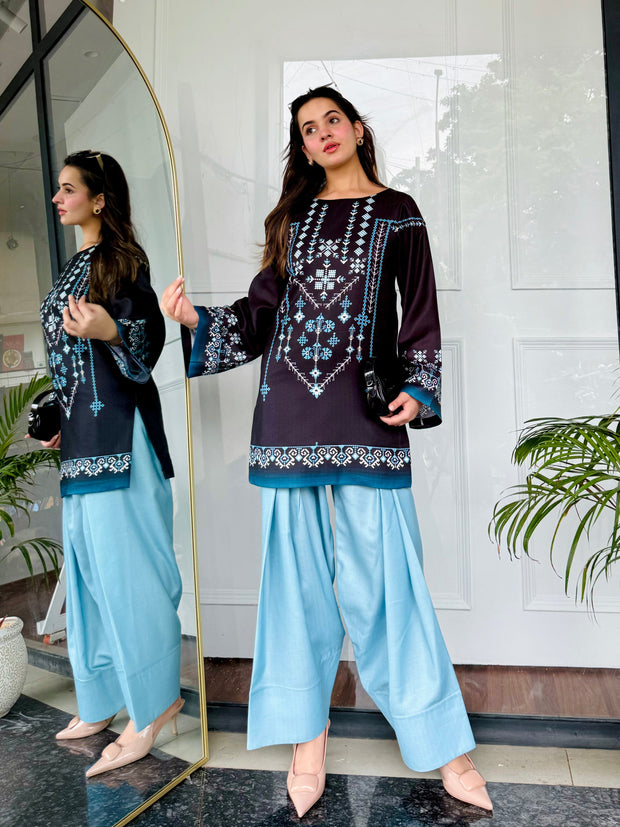 🌙 Noor-e-Shaam – 2 Piece Kurti Set ✨