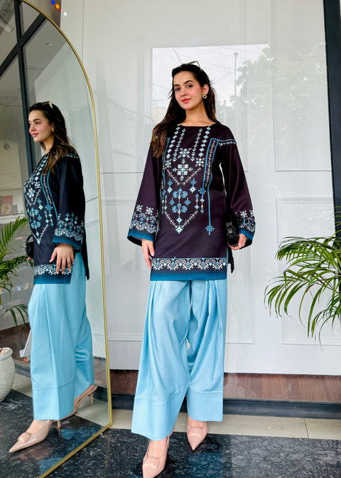 🌙 Noor-e-Shaam – 2 Piece Kurti Set ✨