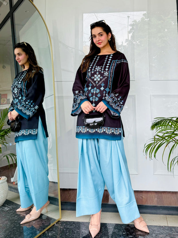 🌙 Noor-e-Shaam – 2 Piece Kurti Set ✨