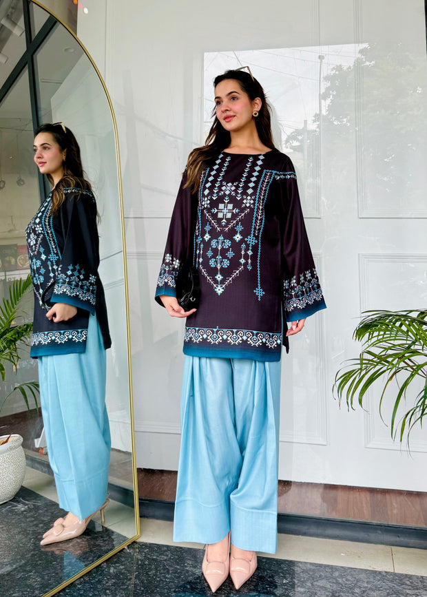 🌙 Noor-e-Shaam – 2 Piece Kurti Set ✨