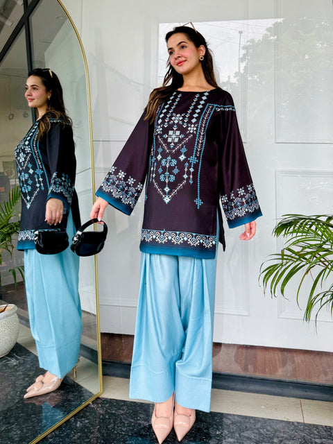 🌙 Noor-e-Shaam – 2 Piece Kurti Set ✨