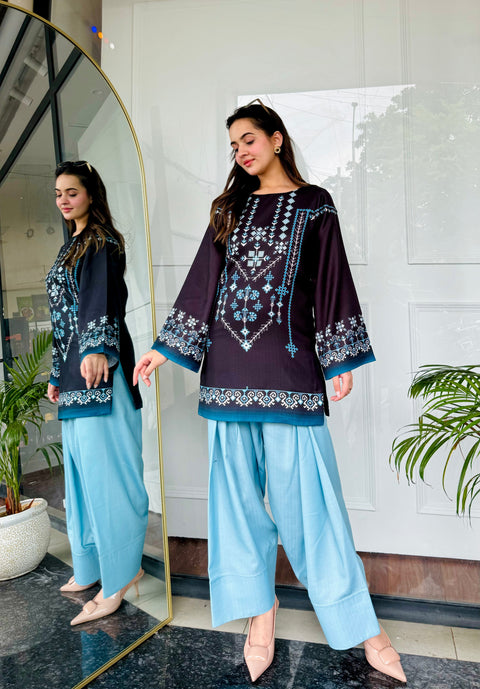 🌙 Noor-e-Shaam – 2 Piece Kurti Set ✨