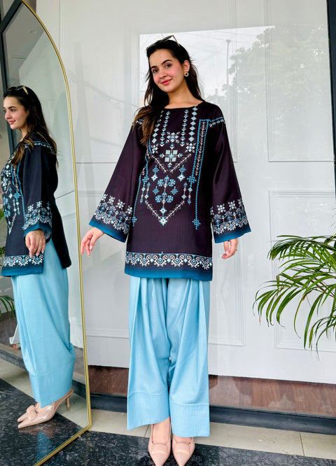 🌙 Noor-e-Shaam – 2 Piece Kurti Set ✨