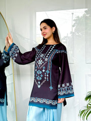 🌙 Noor-e-Shaam – 2 Piece Kurti Set ✨