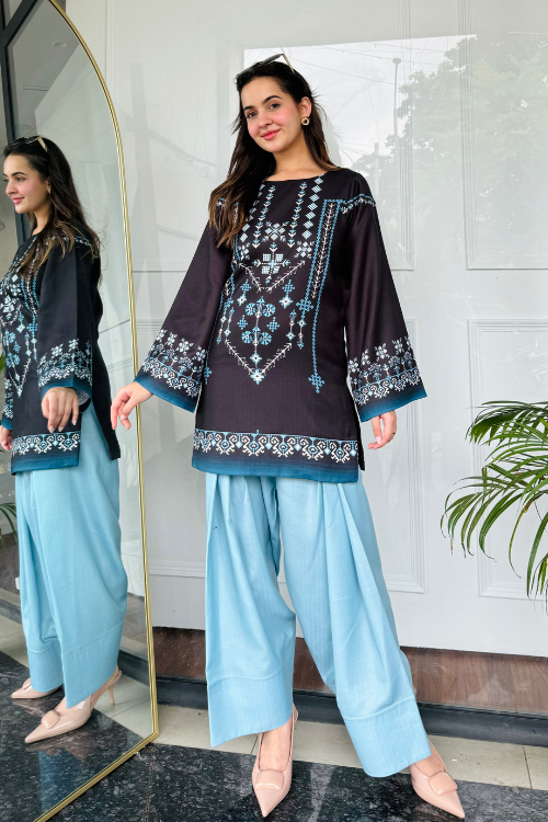 🌙 Noor-e-Shaam – 2 Piece Kurti Set ✨